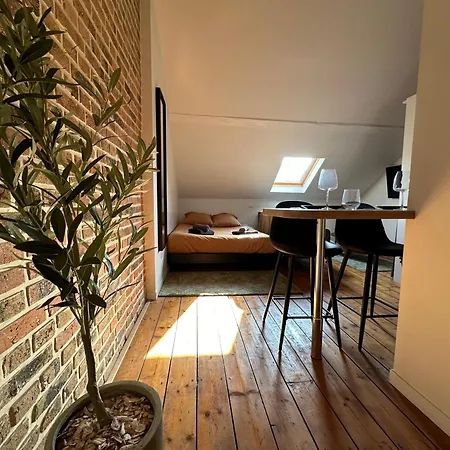Immeuble St-Pierre - Gare 10Min - Hortillonnages 5Min - Wifi - Tv Hd Amiens Extérieur photo